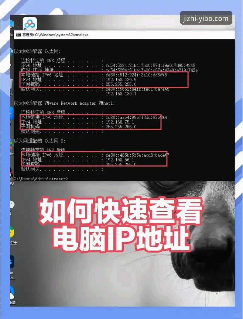 YIBO平台登录地址找不到？这3个方法帮你秒速解决